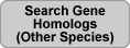 Gene Homolog Search